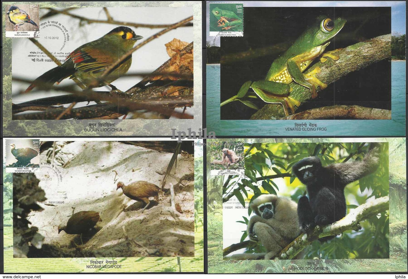 MAX CARDS Endemic Species Bugun Liocichla Nicobar Megapode Fowl Primate Gibbon Frog Bird Birds Vogel Oiseaux Monkey - Other & Unclassified