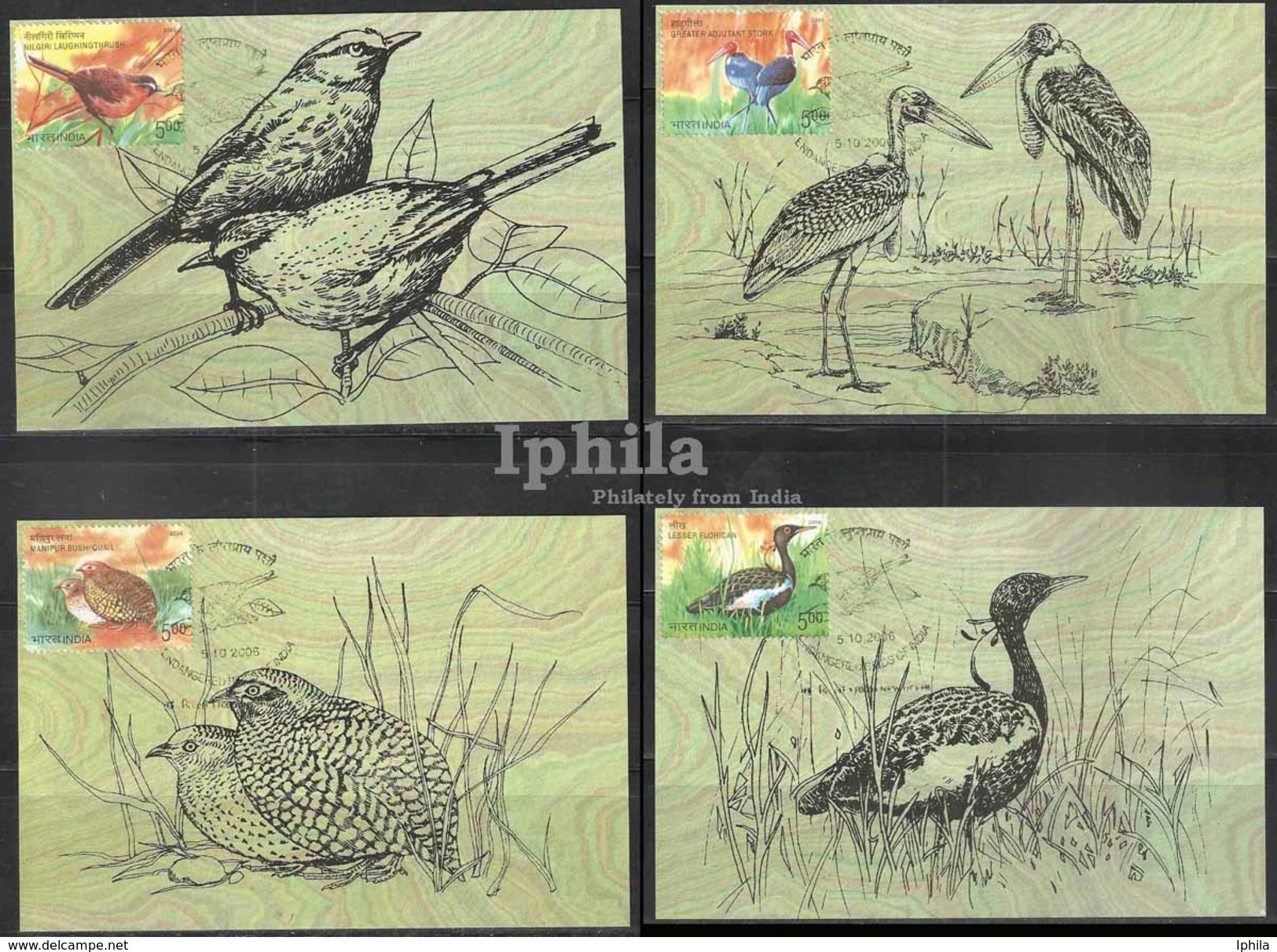 Endangered Birds Indian Max Cards Set Lesser Florican Bush Quail Laughing Thrush Stork Bird Birds Vogel Vögel Oiseaux - Storks & Long-legged Wading Birds