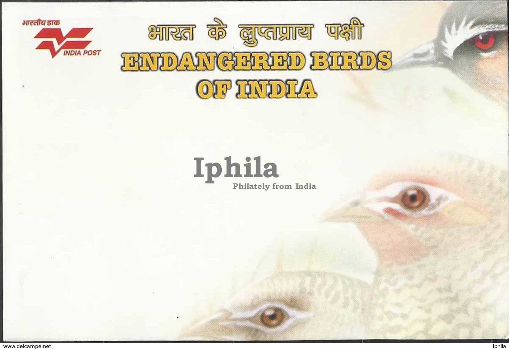 Endangered Birds Indian Max Cards Set Lesser Florican Bush Quail Laughing Thrush Stork Bird Birds Vogel Vögel Oiseaux - Storks & Long-legged Wading Birds