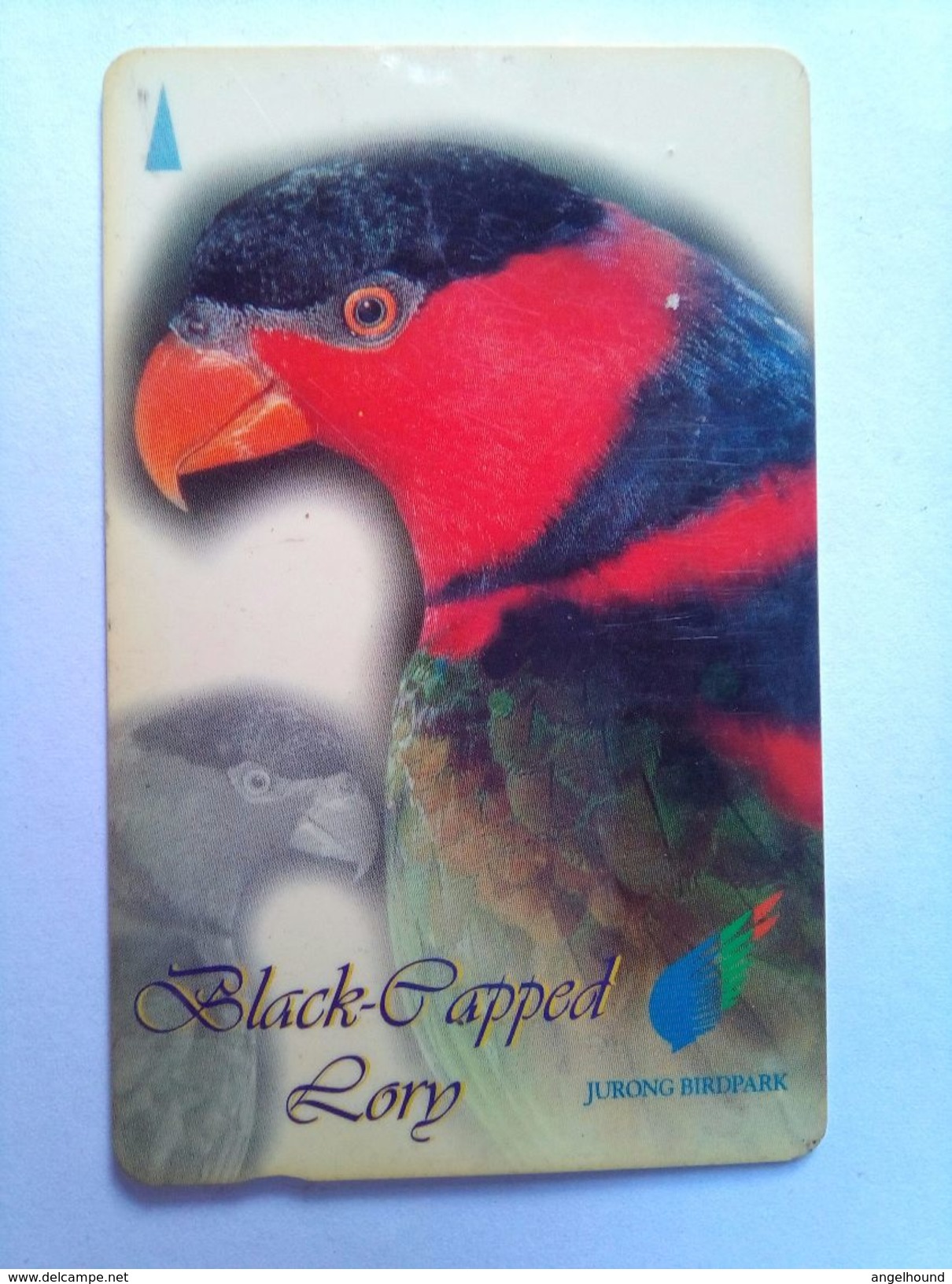 Singapore Phonecard 104SIGF Black Pappel Lory $5 - Zangvogels