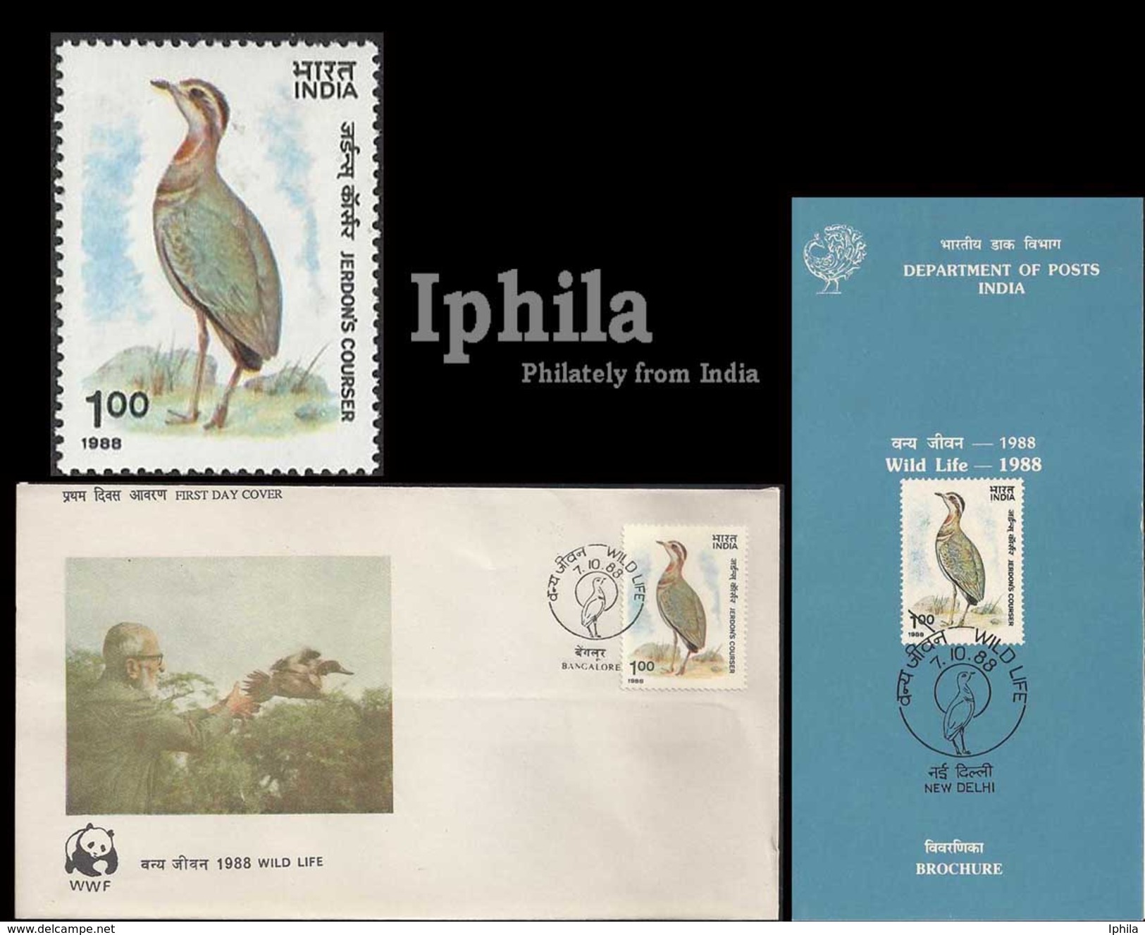 Jerdon's Courser 1988 FDC Folder Indian Birds Vogel Vögel Oiseaux Nocturnal Bird WWF Salim Ali Ornithology Ornithologie - Gallinaceans & Pheasants