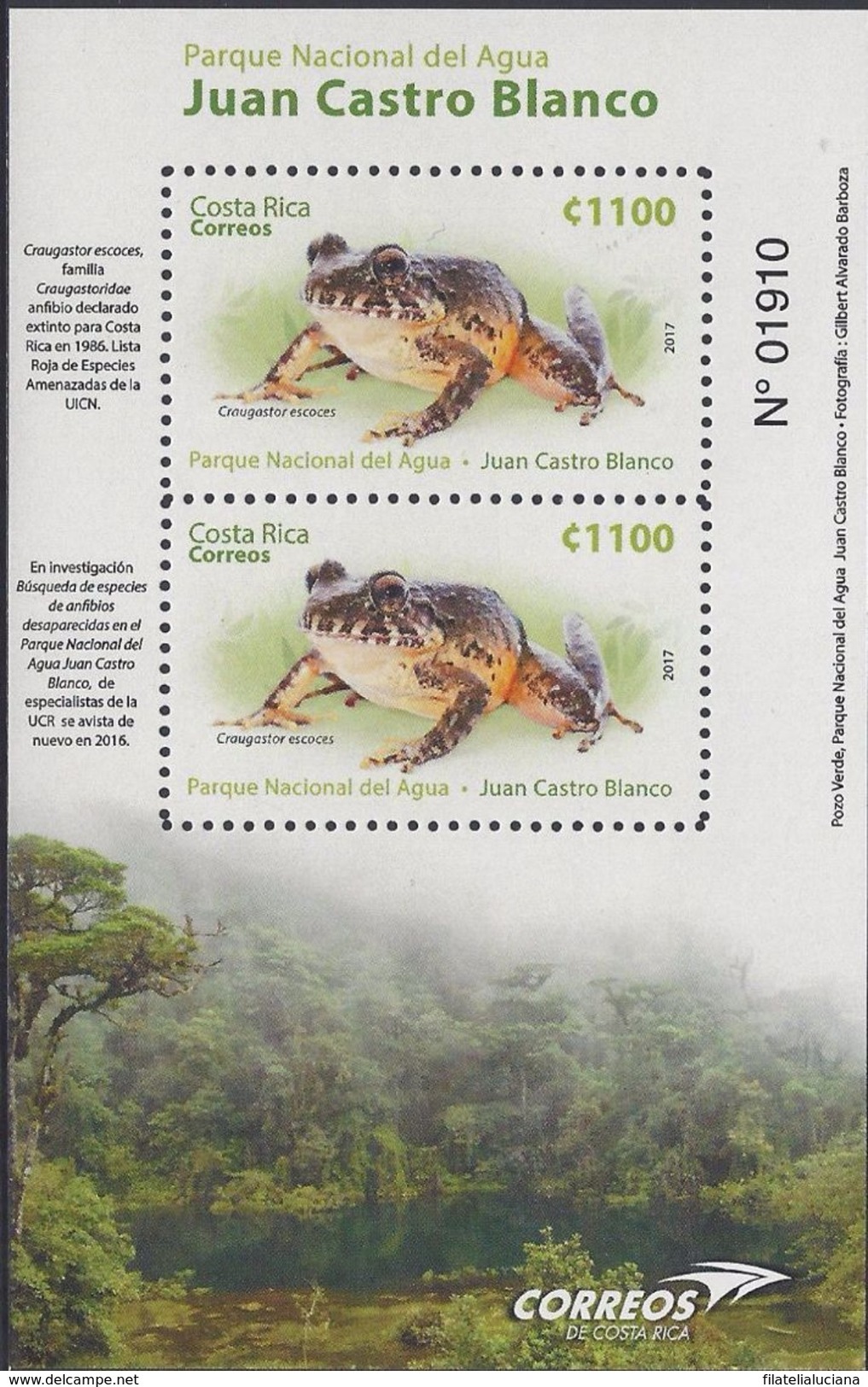 COSTA RICA New Issue Sheet Of Frogs Local 2017 MNH - Frogs