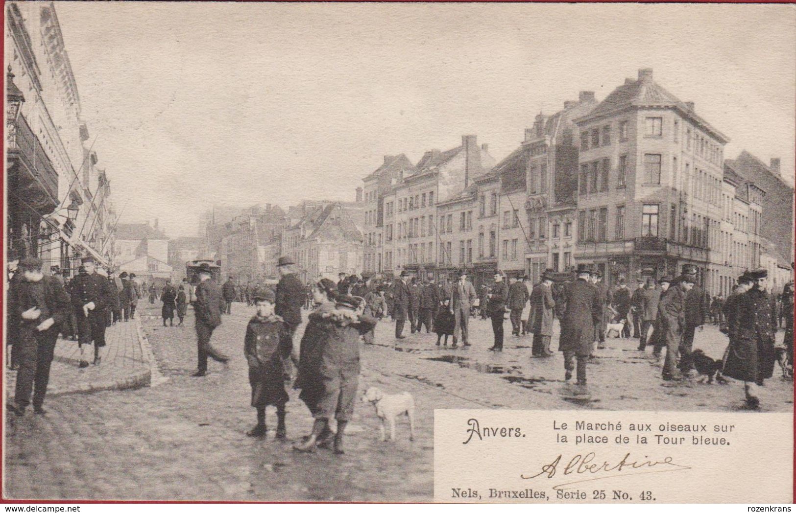 Antwerpen Vogelmarkt Vogelenmarkt Vogeltjesmarkt 1904 ANVERS - Le Marché Aux Oiseaux Sur La Place De La Tour Bleue - Antwerpen