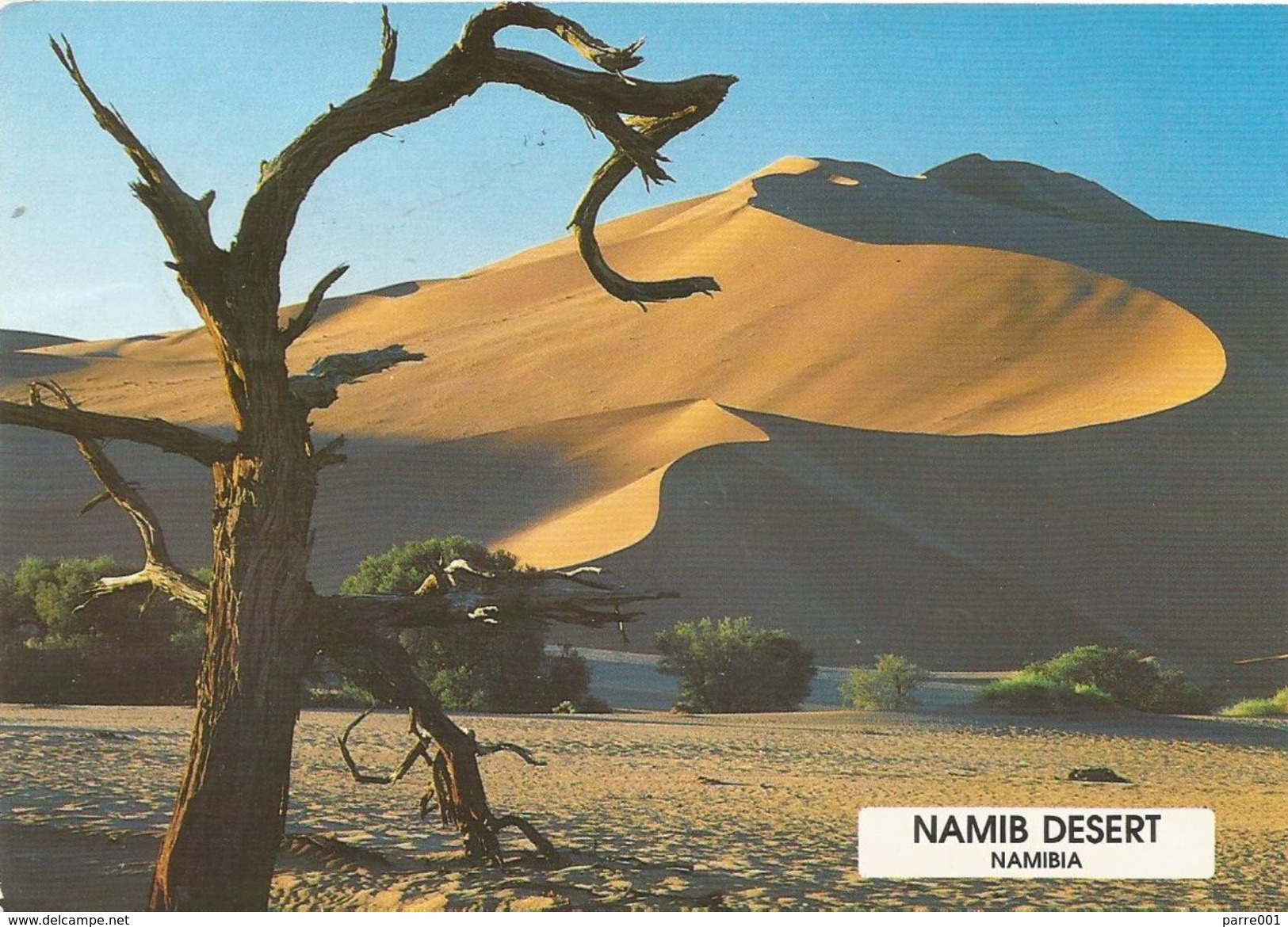 Namibia 1994 Swakopmund Freshwater Fish Viewcard - Namibië (1990- ...)