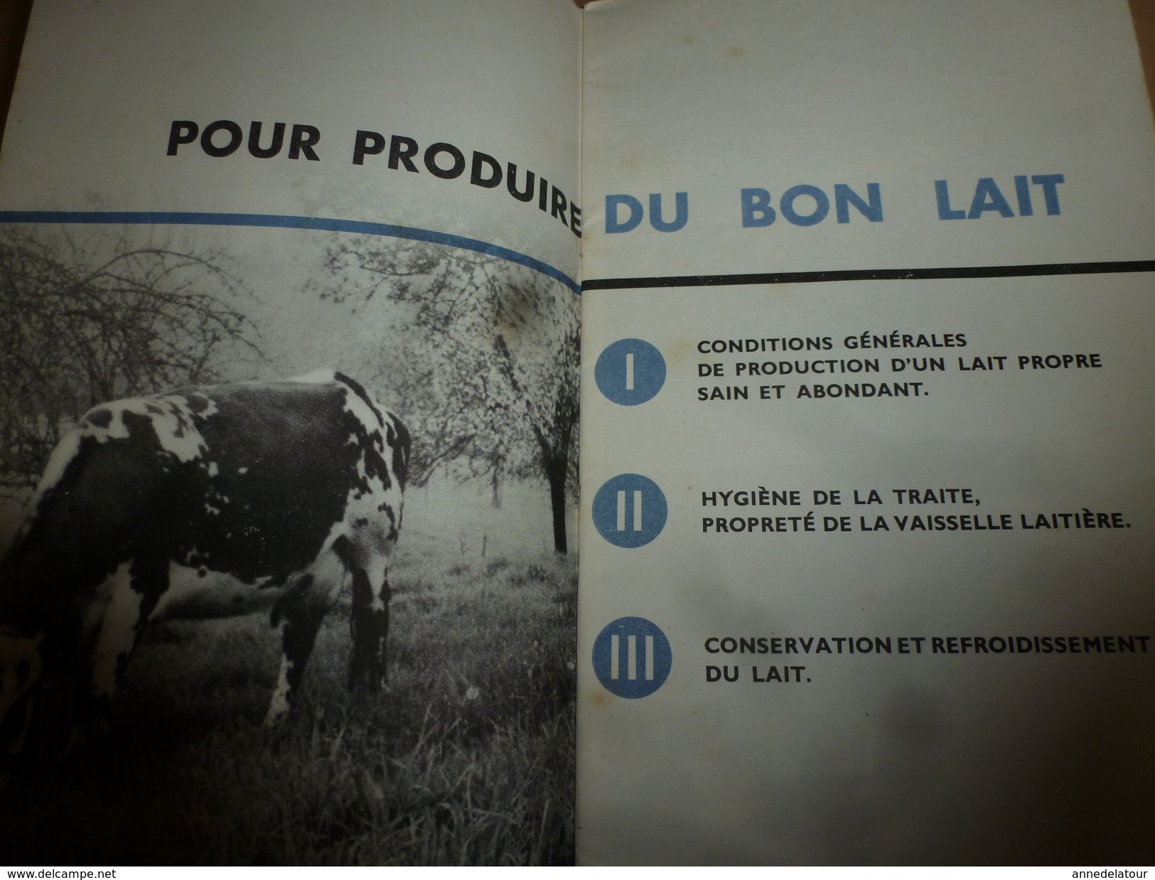 1957 Du Meilleur Lait Et Moins Cher (important Document )  Photographies De Roger Schall - Autres & Non Classés