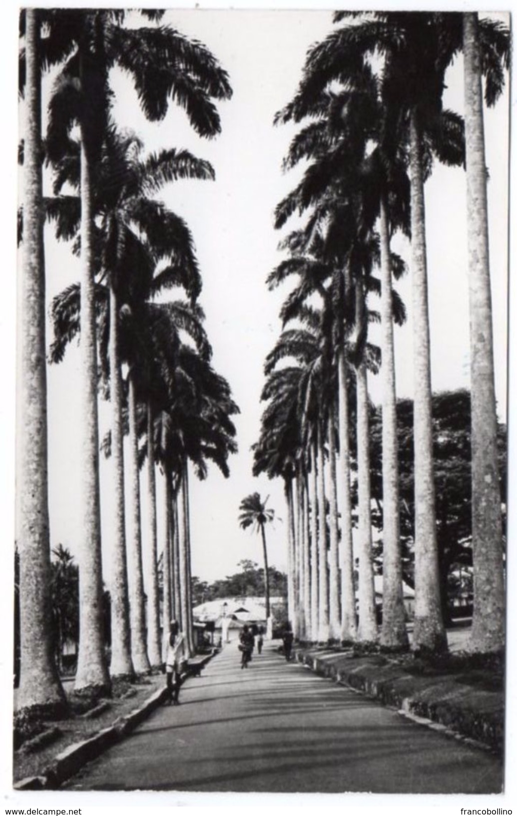 VIEWS OF GHANA - ABURI ROYAL PALMS / THEMATIC STAMP-FLOWERS - 1966 - Ghana - Gold Coast