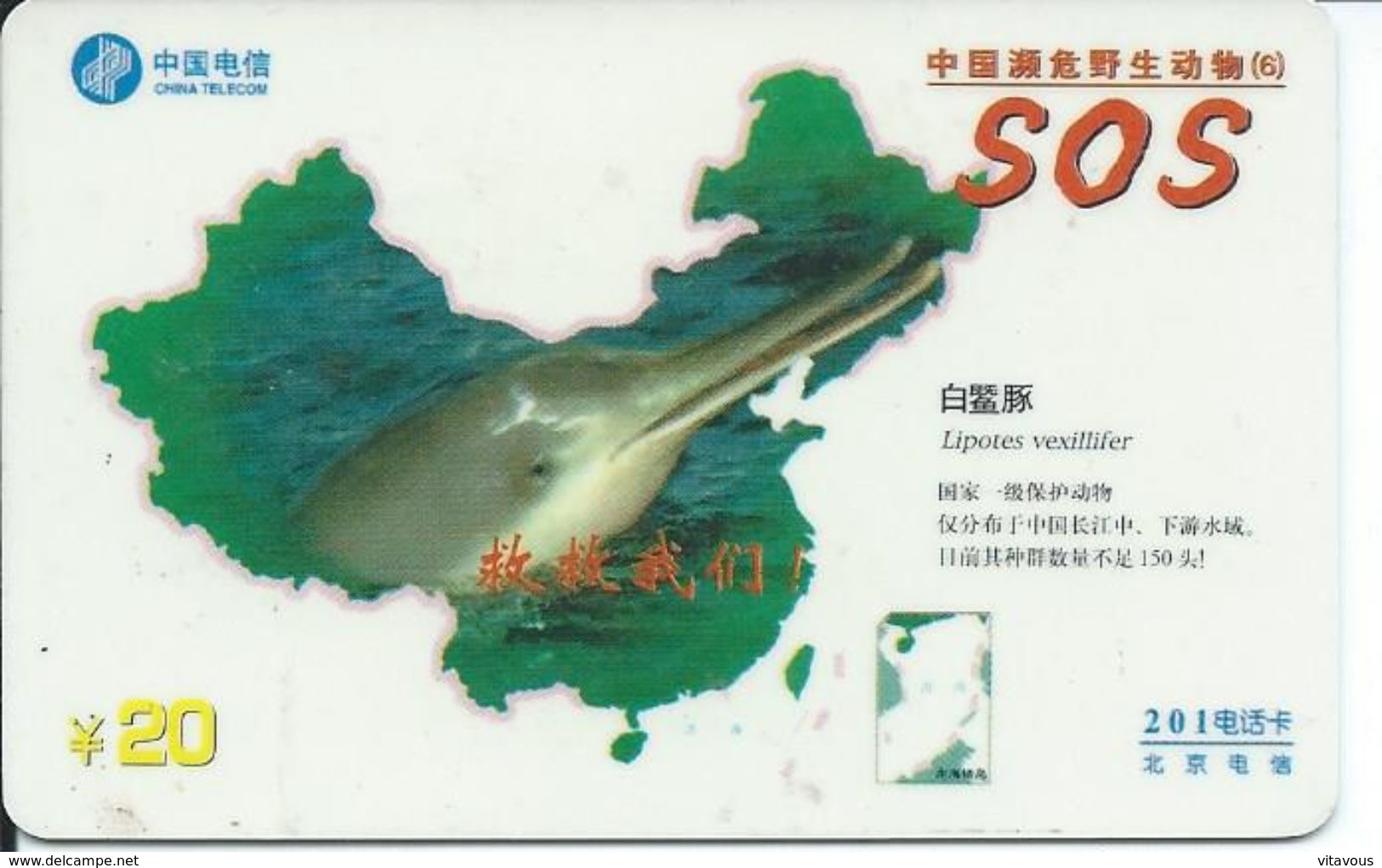 Dauphin  Animal Télécarte Phonecard Karte (S.536) - Chine