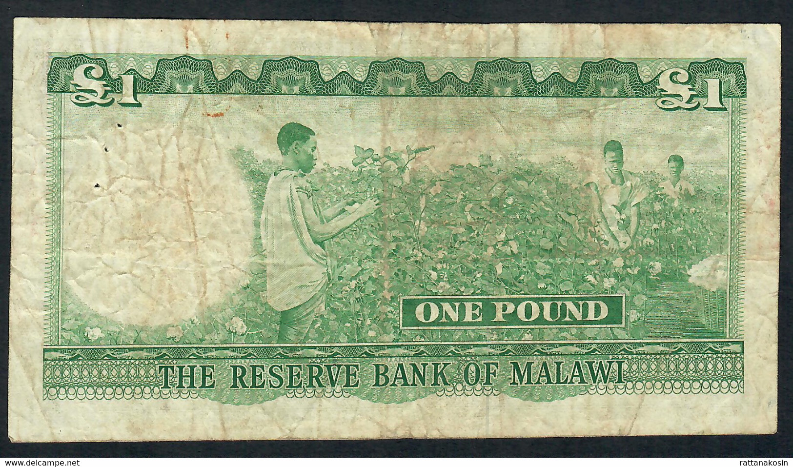 MALAWI P3 1 POUND 1964  #G  Signature 1  GOVERNOR       Fine With 3 P.h. - Malawi