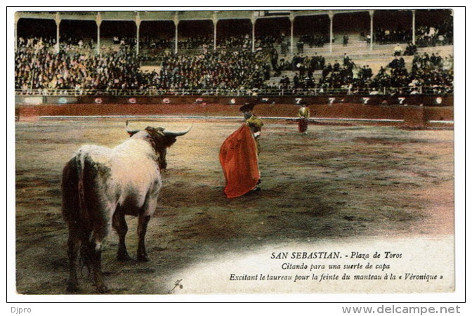 San Sebastian    Plaza De Toro  Citando  Para Una Suertr De Capa - Corrida