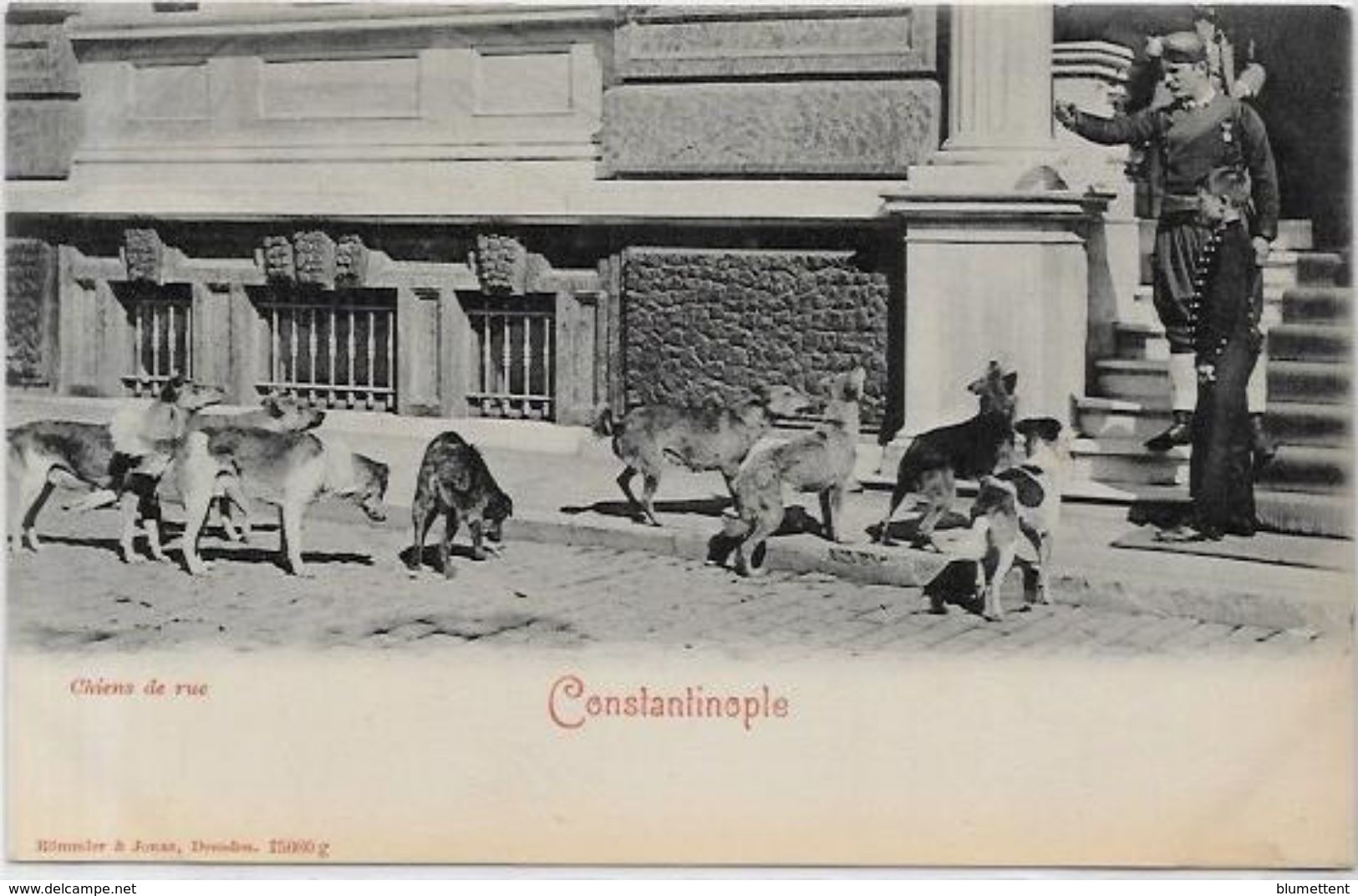 CPA Ancienne Turquie Turkey Non Circulé Constantinople Type Chien - Türkei