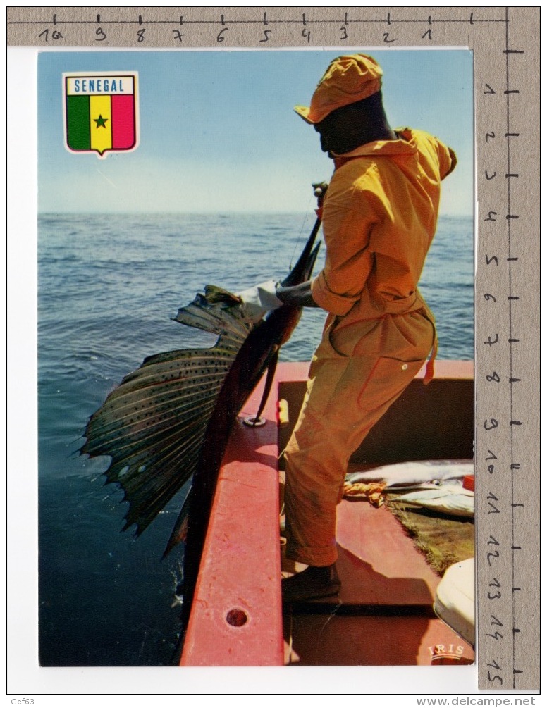 République Du Sénégal - Dakar - Pêche Sportive (marlin / Makaire / Istiophoridae) - Sénégal