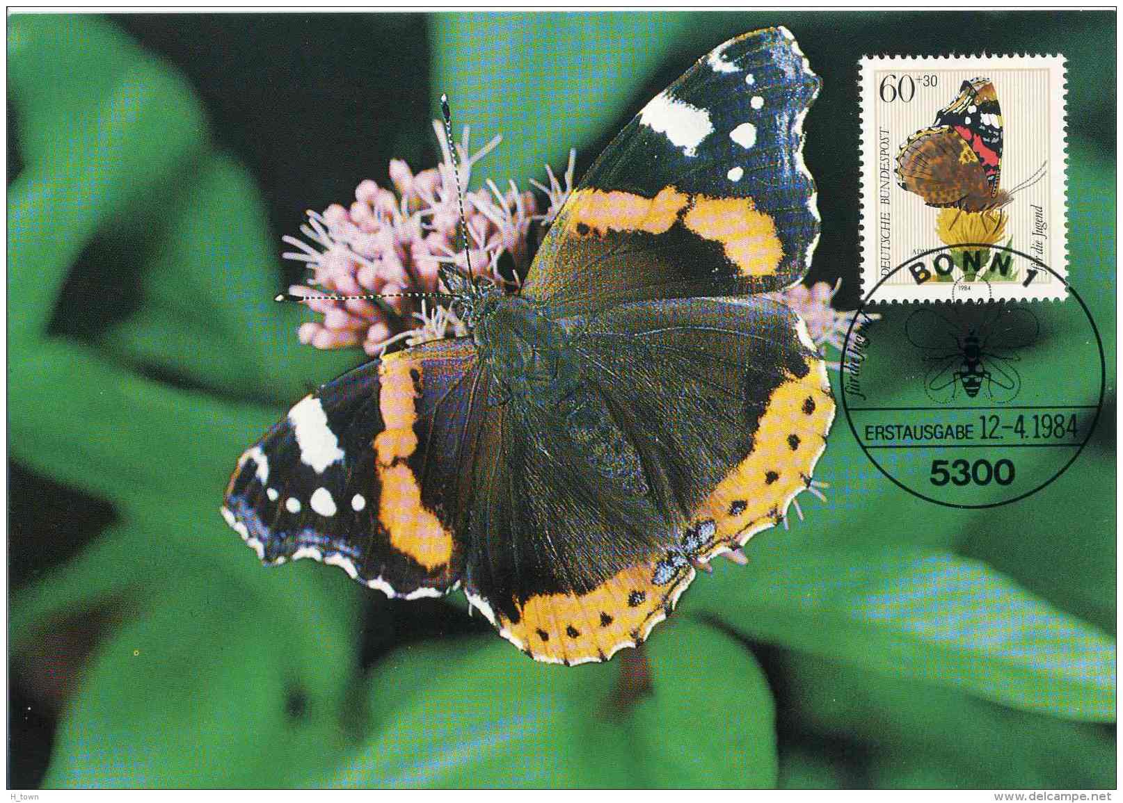 6237  Vulcain (Vanessa Atalanta): Carte Maximum 1er Jour D'Allemagne 1984 - Red Admiral Maximum Card. Butterfly Papillon - Farfalle