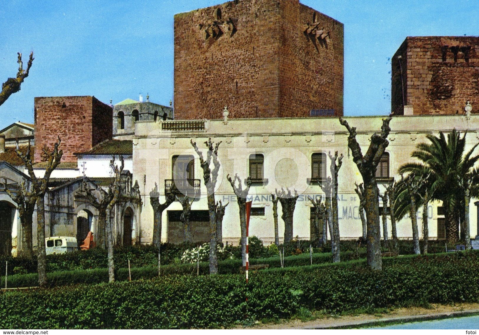 PHOTO POSTCARD PASEO HERMAN CORTES OLIVENZA BADAJOZ SPAIN ESPAÑA CARTE POSTALE - Badajoz