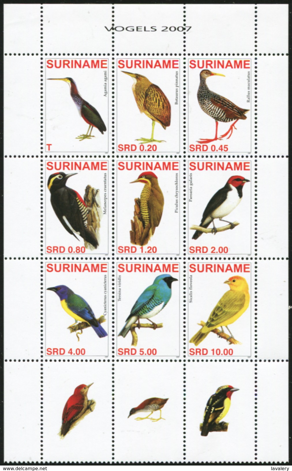 SURINAME 2007 Birds Animals Fauna MNH - Other & Unclassified