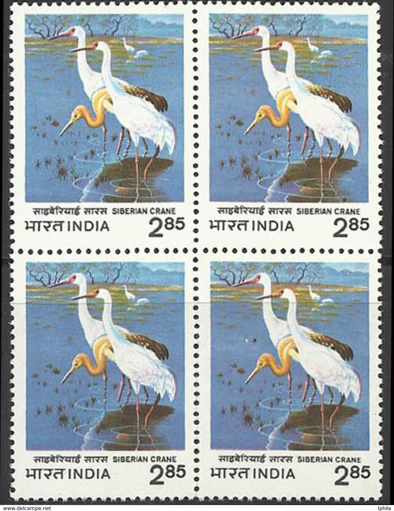 Siberian Crane Russia Visitor BLOCK Of Four  Migratory Bird Birds Bird Vogel Vögel Oiseaux Indien Krane Inde India - Grues Et Gruiformes
