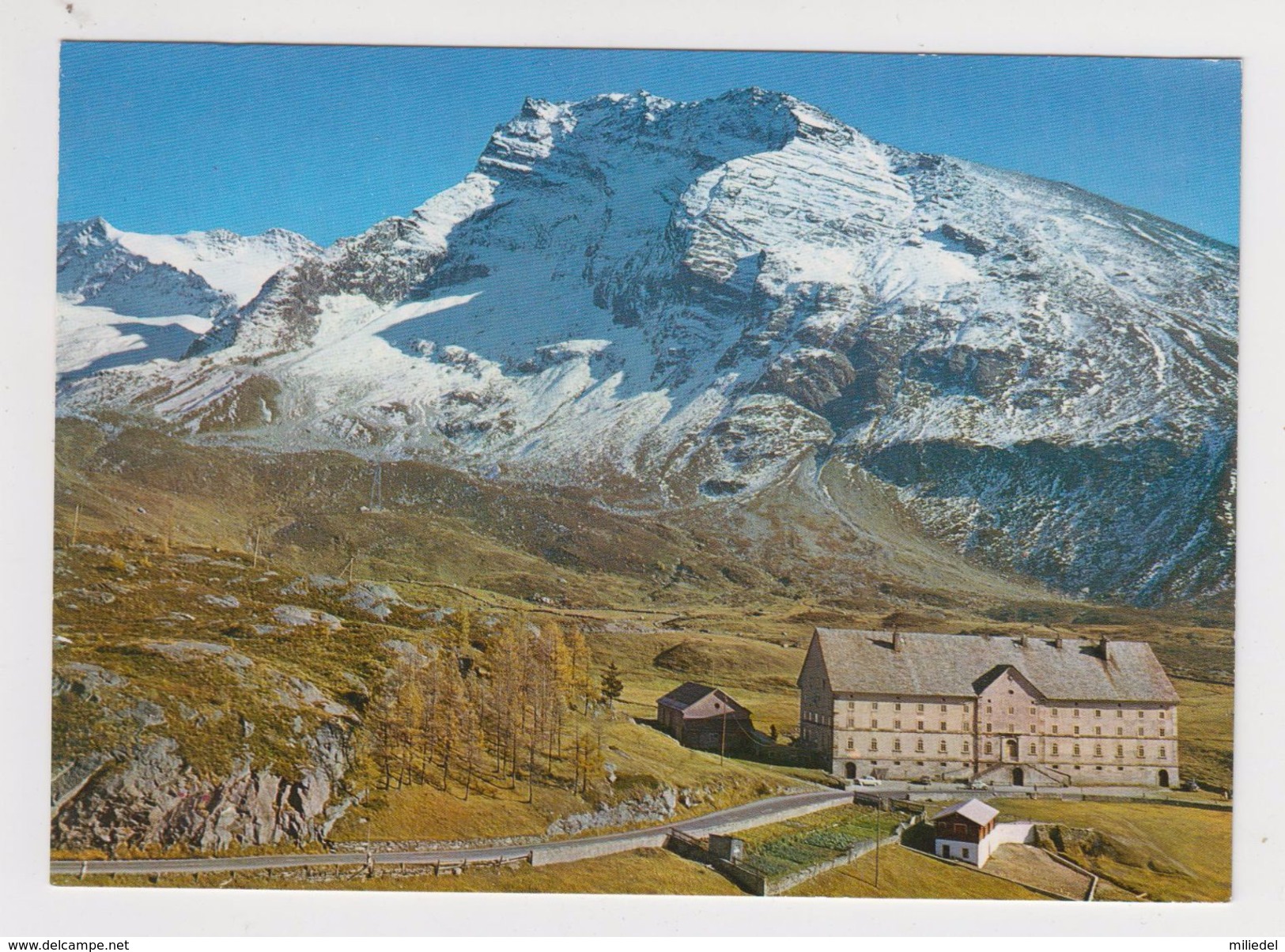 494 - SUISSE - SIMPLON - Hotel Bellevue - Bellevue