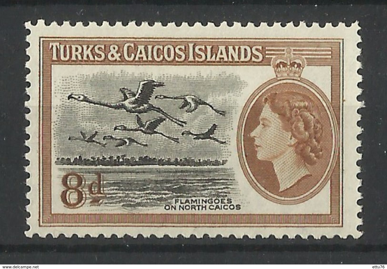 TURKS & CAICOS  1955  8d FLAMINGOES  MNH - Sonstige & Ohne Zuordnung