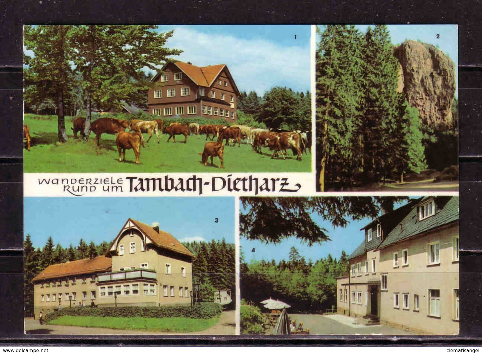 312a * WANDERZIELE RUND UM * TAMBACH-DIETHARZ * IN 4 ANSICHTEN **!! - Tambach-Dietharz