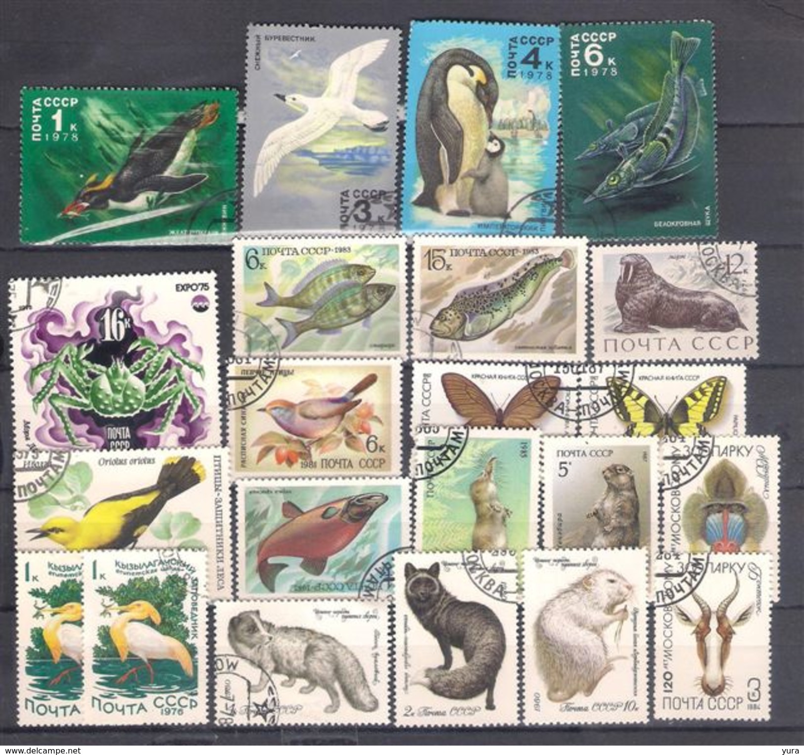 Lot 68 Fauna USSR 22 Different - Andere & Zonder Classificatie