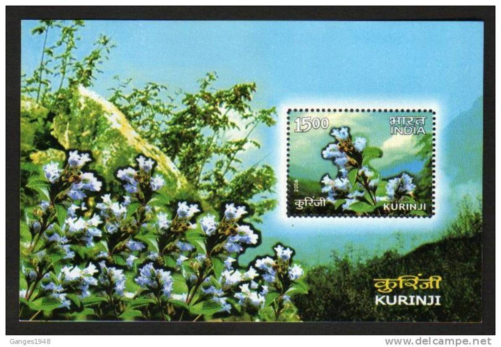 India 2006  KURINJI ORCHID FLOWER BLOC MINIATURE SHEET...BLOOMS ONCE IN 12 YEARS IN WESTERN GHATS  # 00869   Inde Indien - Blocks & Sheetlets