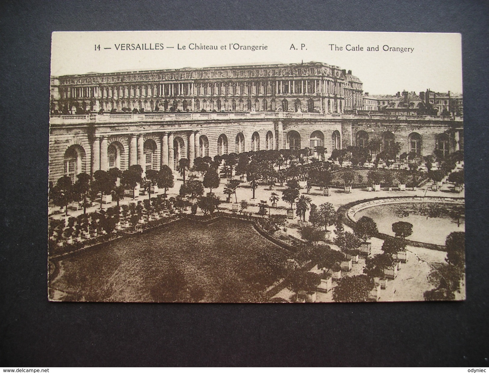 Versailles-Le Chateau Et L'Orangerie - Ile-de-France