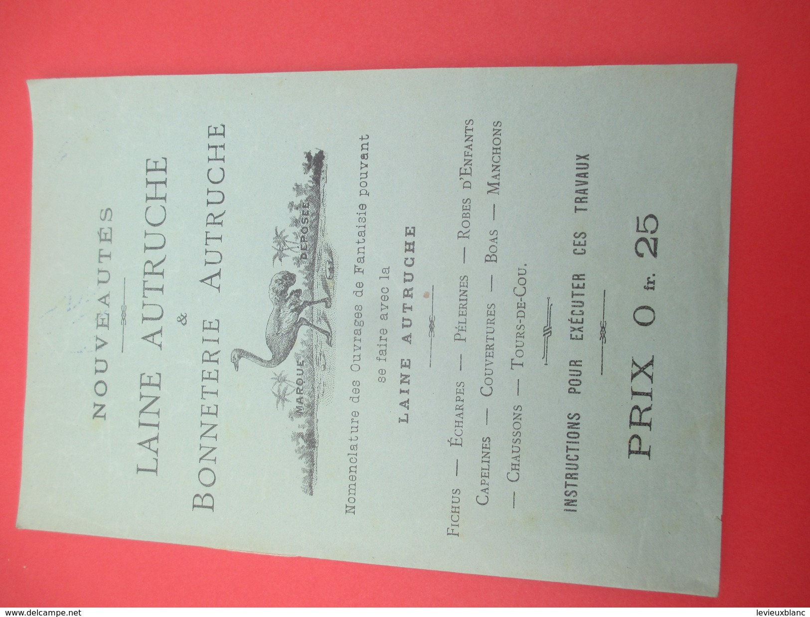 Notice D'instructions / Mercerie / Laine Et Bonneterie/Laine Autruche/ Nouveauté /Vers 1860-1880   CAT199 - Other & Unclassified