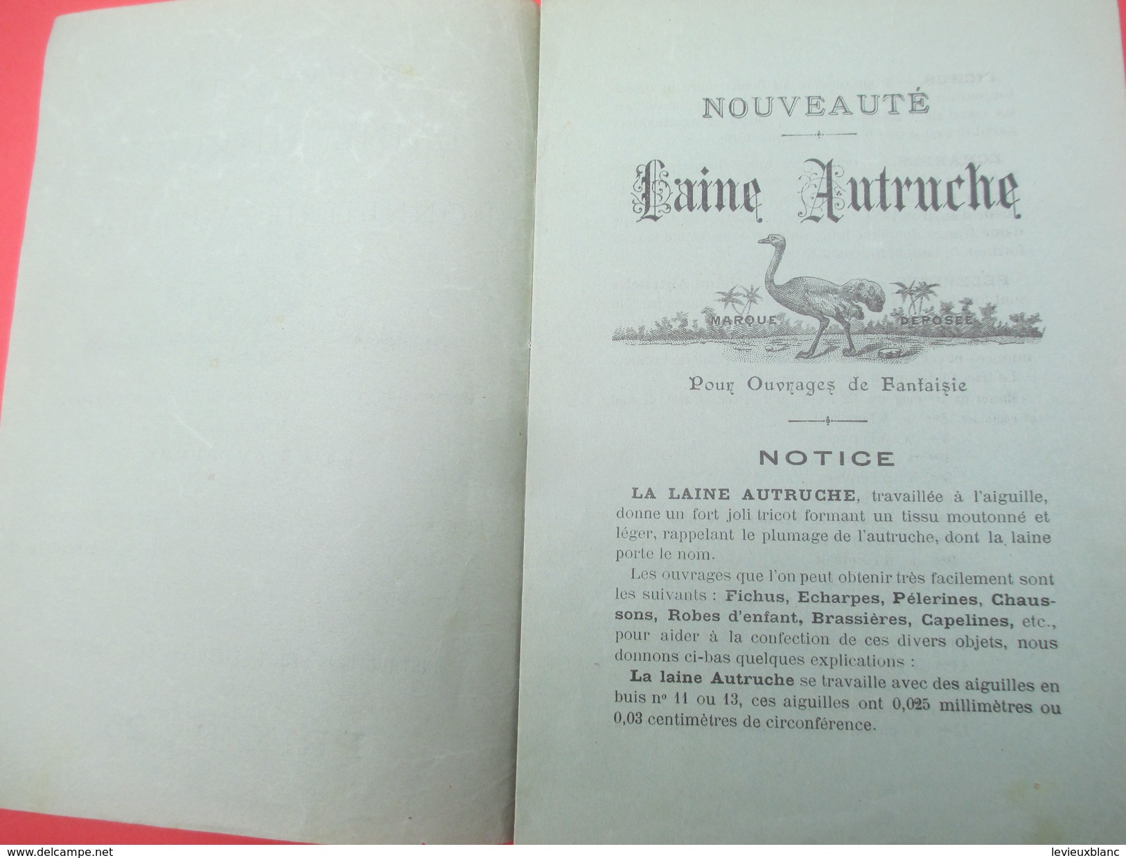 Notice D'instructions / Mercerie / Laine Et Bonneterie/Laine Autruche/ Nouveauté /Vers 1860-1880   CAT199 - Other & Unclassified