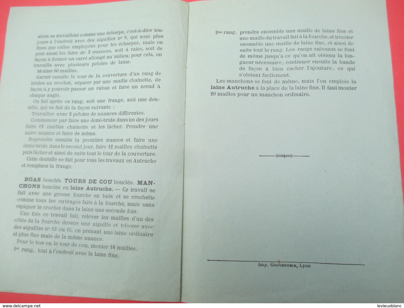 Notice D'instructions / Mercerie / Laine Et Bonneterie/Laine Autruche/ Nouveauté /Vers 1860-1880   CAT199 - Other & Unclassified