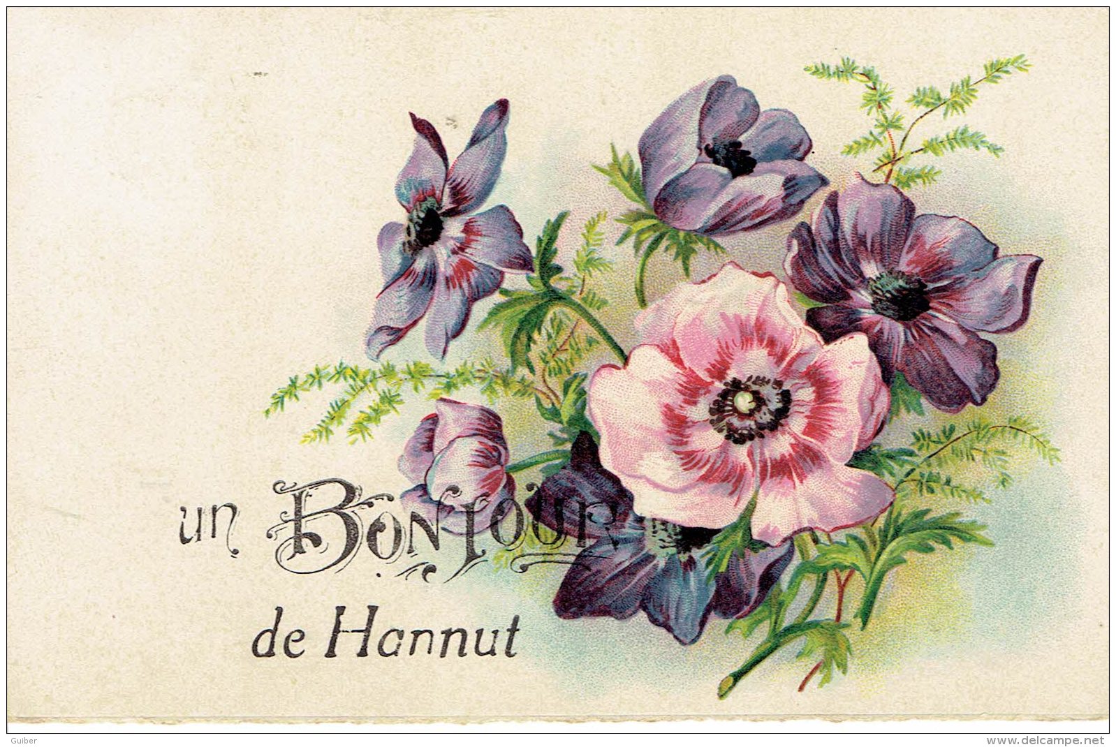 Un Bonjour D'hannut  Fleurs Anemones - Hannut