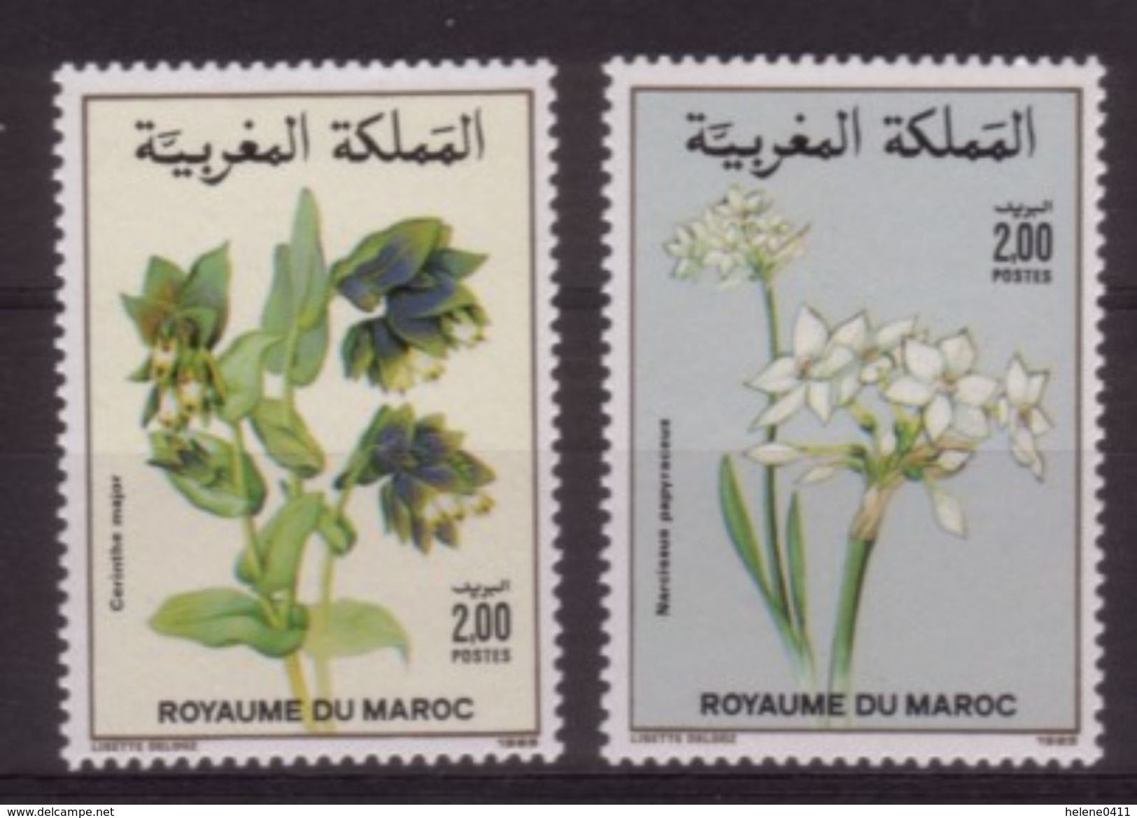 PAIRE NEUVE DU MAROC - FLORE MAROCAINE : CERINTHE MAJOR ET NARCISSUS PAPYRACEUS N° Y&T 1070/1071 - Other & Unclassified