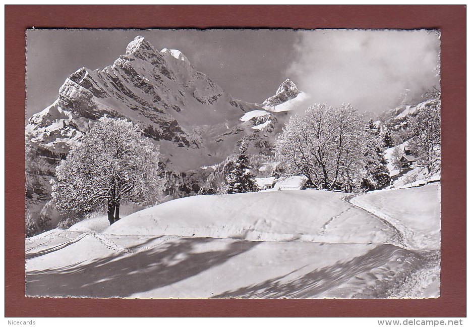 Glarus - BRAUNWALD - Am Höhenweg Gegen Ortstock Und Hoher Turm - Braunwald