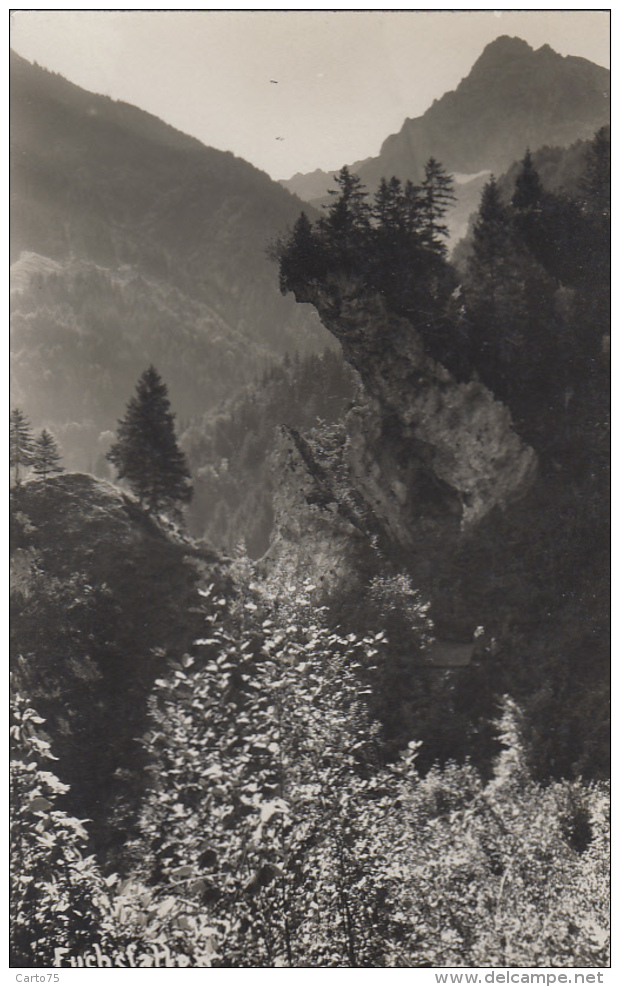 Suisse - Mühlehorn - Carte-Photo - Fuchsfallen - Cachet Frau Küng-Stoffel Gasthaus Z. Traube - 1931 - Mühlehorn