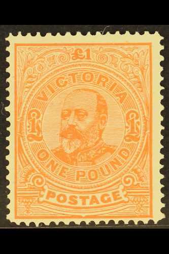 5291 VICTORIA 1905-13 £1 Salmon Perf 12½, SG 431, Fine Mint, Very Fresh & Attractive. For More Images, Please Visit Http - Other & Unclassified