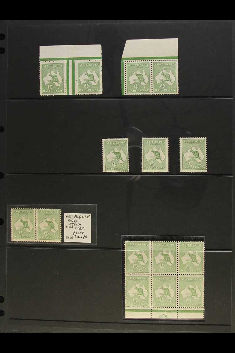 5321 1913 ½D KANGAROOS. A Lovely Mint / Never Hinged Mint Collection Of Items Including Interpanneau Horizontal Pair Fro - Other & Unclassified