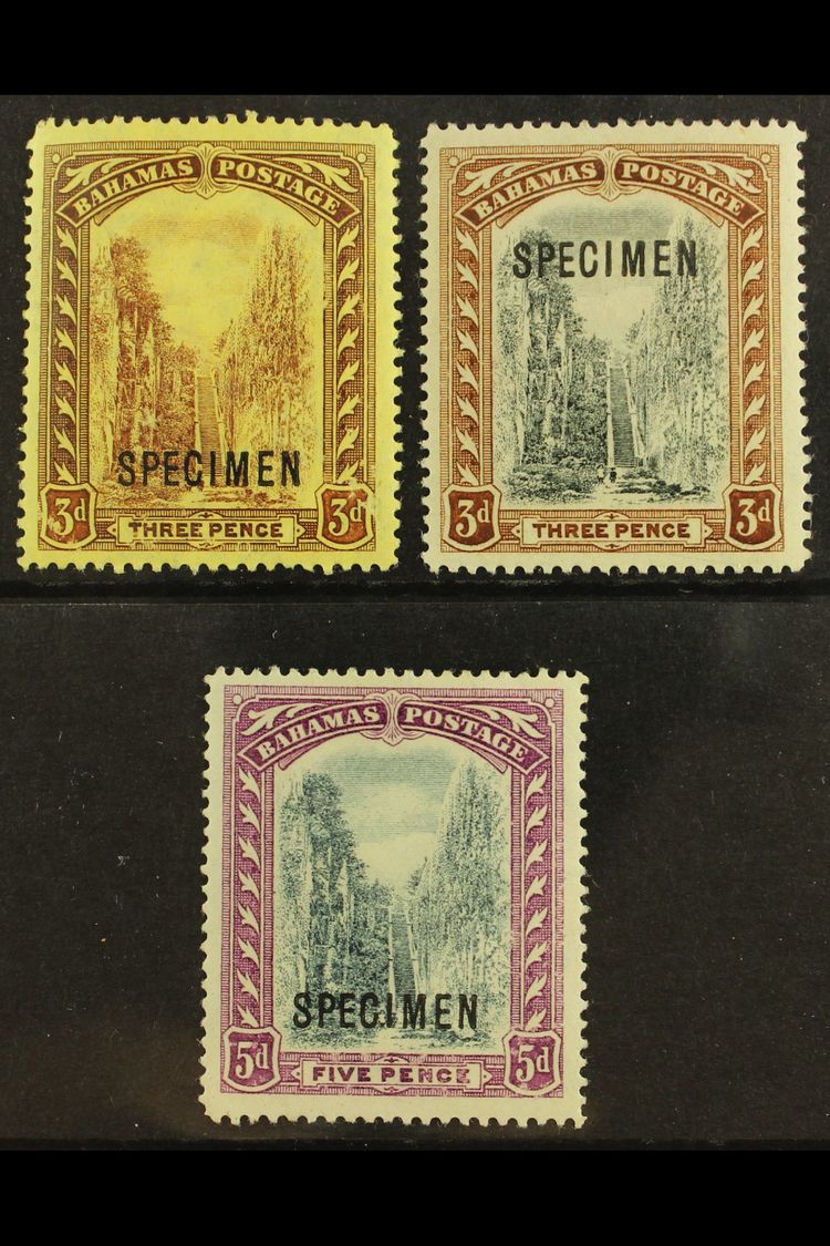 5436 1911 Staircase Vals To 5d, Wmk MCA, Ovptd "Specimen", SG 76s, 77s & 78s, Very Fine Mint. (3 Stamps) For More Images - Other & Unclassified