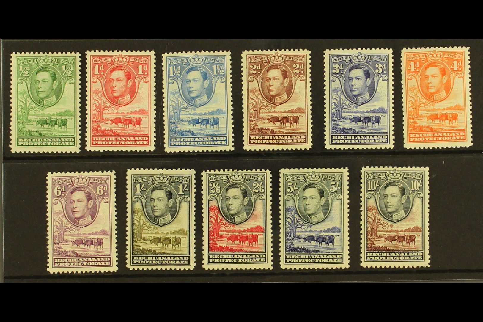 5503 1938-52 Baobab Tree & Cattle Complete Set, SG 118/28, Very Fine Mint, Fresh. (11 Stamps) For More Images, Please Vi - Other & Unclassified
