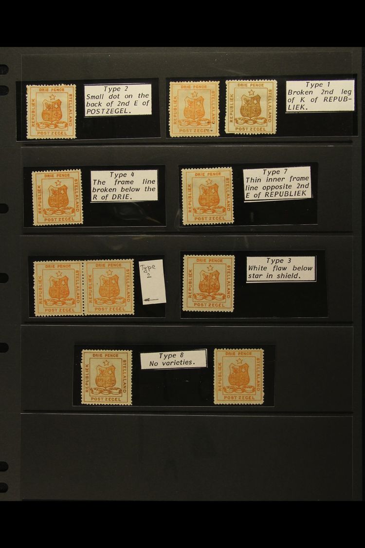 5507 STELLALAND 1884 3D ORANGE GROUP Of 10 Mint Stamps (incl Pair) Each Identified By Type With Helpful Identification N - Other & Unclassified
