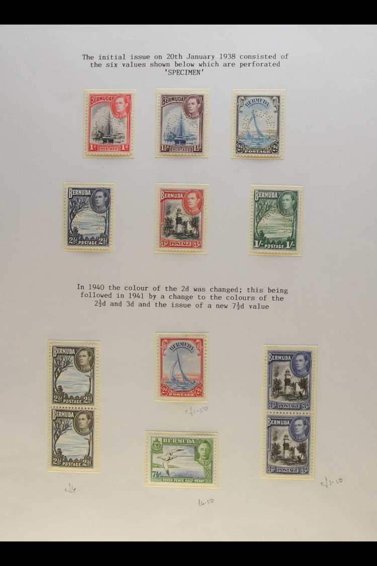 5528 1938-52 PICTORIALS. SPECIALIZED SUPERB MINT & NHM COLLECTION On Pages, Includes 1938-52 All Values With Identified - Bermuda