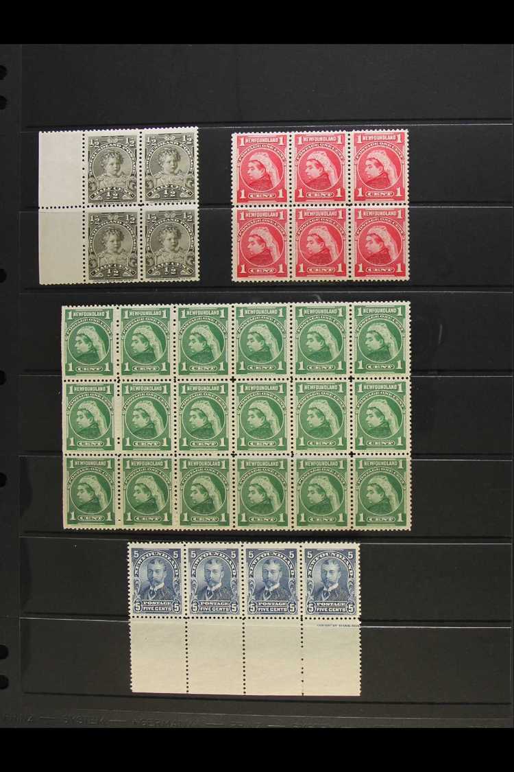 5694 1897-1918 Royal Portraits Issue, Fine Mint Multiples, With ½c Marginal Block Of Four, 1c Carmine Block Of Six (5 Ar - Other & Unclassified