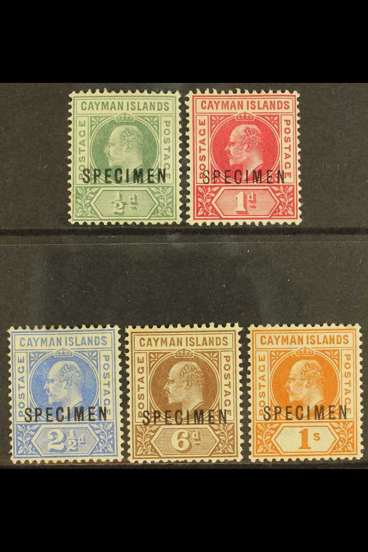 5776 1902-03 Set, Overprinted "SPECIMEN", SG 3/7s, Fresh Mint. (5) For More Images, Please Visit Http://www.sandafayre.c - Cayman Islands