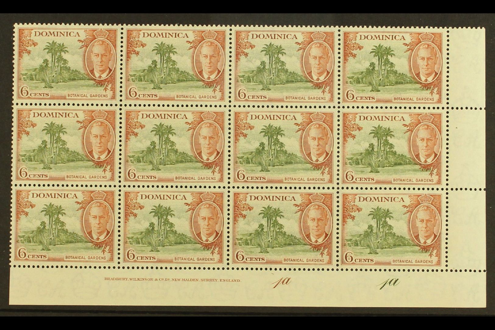 5957 1951 6c Olive & Chestnut "A" OF "CA" MISSING FROM WATERMARK Variety (SG 126b, MP 22b) Within Superb Never Hinged Mi - Dominica (...-1978)