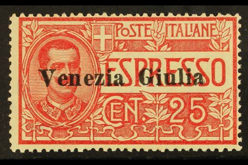 6767 VENEZIA GIULIA 1919 25c Red Express, Sass 1, Very Fine Never Hinged Mint. Signed Sorani. Cat &euro;450 (£340) For M - Unclassified