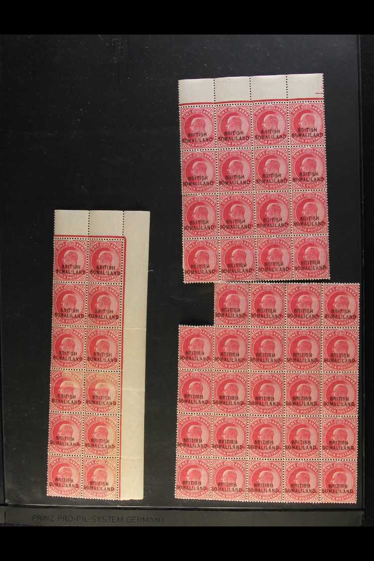 7615 1903 KEVII 1a Carmine (SG 26) In Never Hinged Mint Blocks Of 24, 22, 16 And Two Blocks Of 12. A Few Stamps Affected - Somaliland (Protectorate ...-1959)