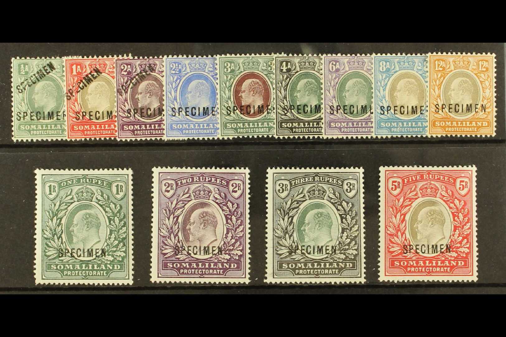 7619 1904 Ed VII Set Complete Overprinted "Specimen", SG 32s/44s, Very Fine And Fresh Mint, Hinge Remainders. (13 Stamps - Somaliland (Protectorate ...-1959)