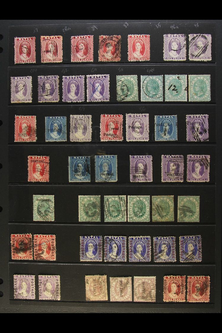7695 NATAL 1863-1899 USED QV ACCUMULATION CAT £4000+. A Most Useful, Often Duplicated Range With Some Elusive Issues & P - Unclassified