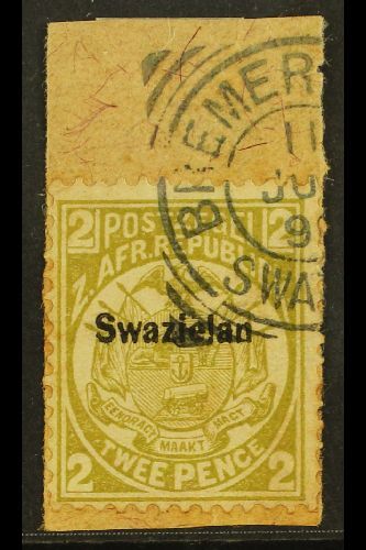 7918 1889-90 2d Olive-bistre, Perf 12½ Overprinted, Variety "Swazielan", SG 5b, Fine Used On A Piece Tied By Large Part - Swaziland (...-1967)