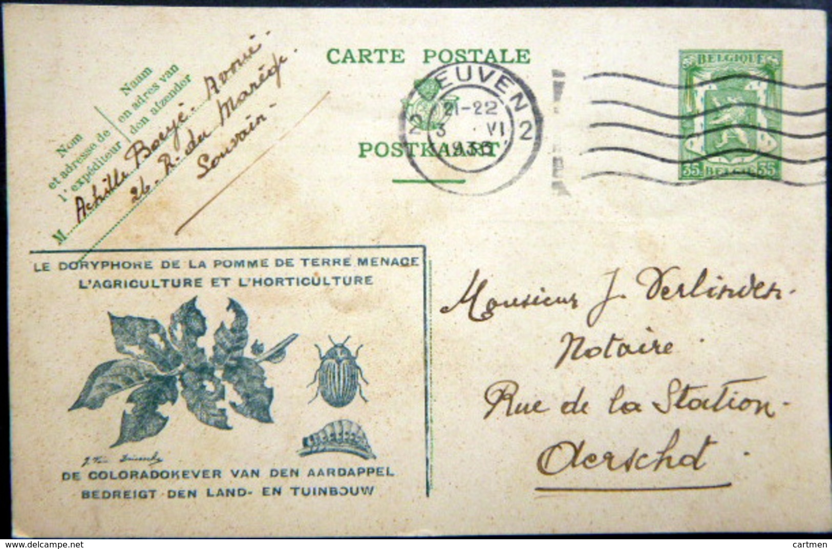 BELGIQUE  CARTE POSTALE PUBLICITAIRE ILLUSTREE  DORIPHORE POMMES DE TERRE FRITES  ENTIER POSTAL 1936  CACHETS ET FLAMMES - Colecciones Y Lotes