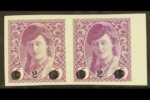 8121 ISSUES FOR BOSNIA 1919 "2" On 6h Mauve Surcharge (Michel 27, SG 50), Mint Marginal Horizontal PAIR, Fresh, Minor Ri - Other & Unclassified