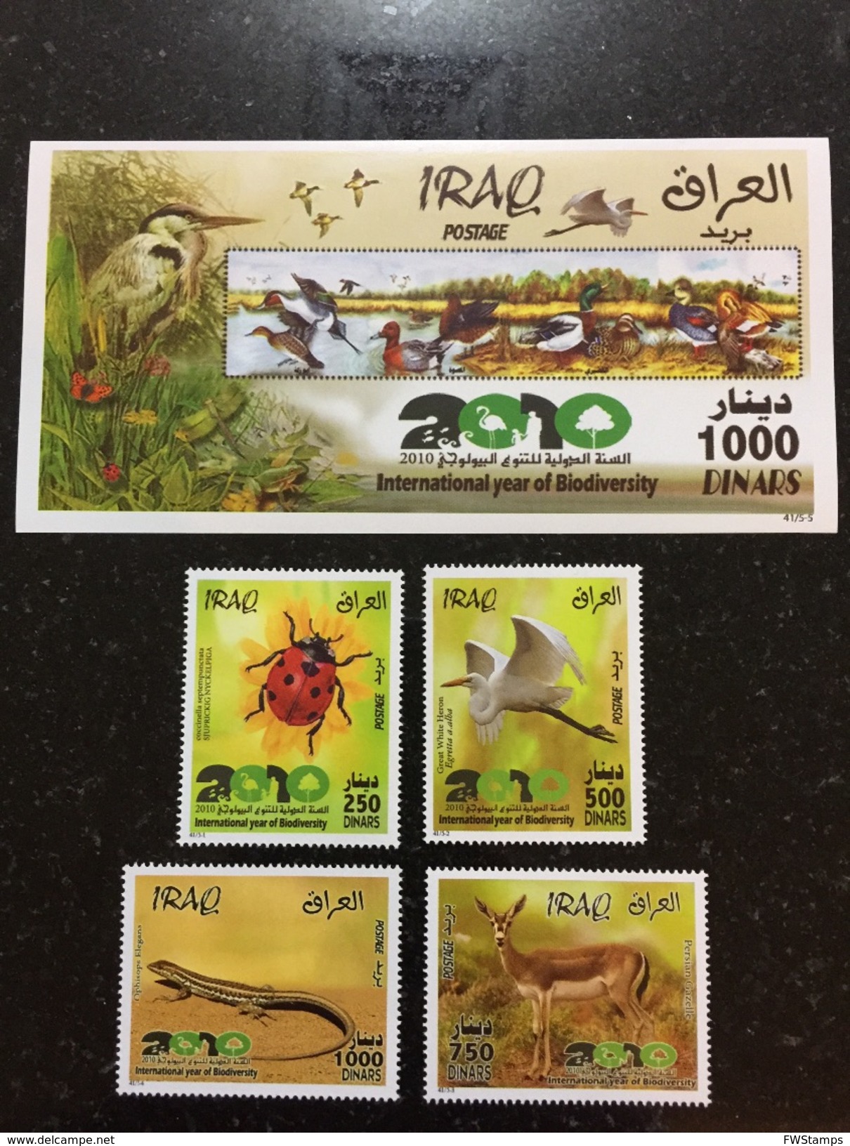 Iraq 2010 MNH Stamps And SS International Year Of Biodiversity Storks Deer Lizard Beetle - Iraq