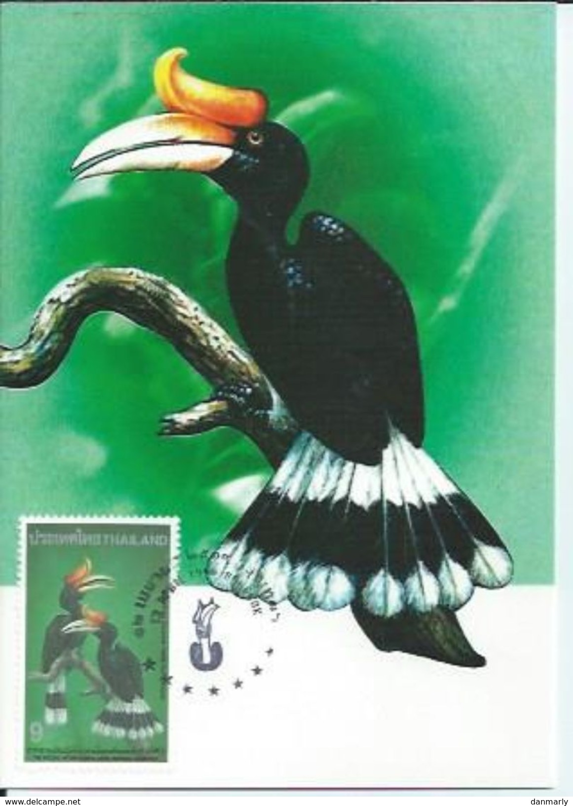 THAILANDE : CARTE MAXIMUM 12/04/96 " Toucans " Bangkok - Collections, Lots & Séries